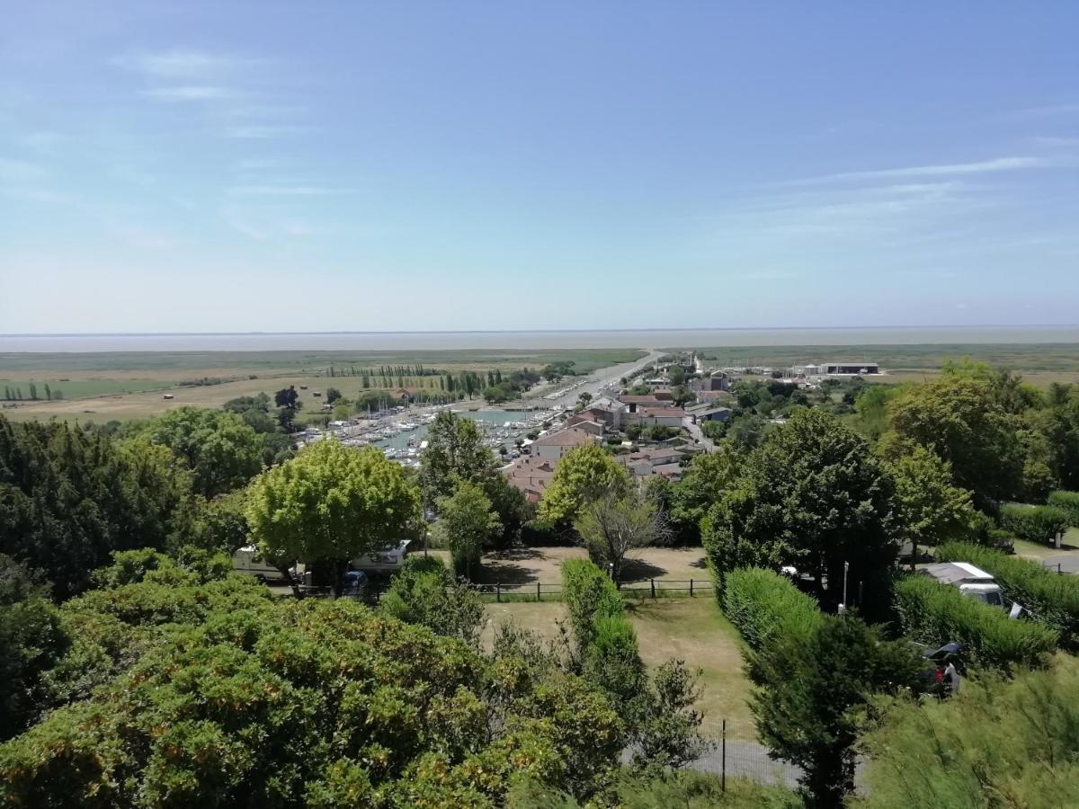 Chateau Des Salles Saint-Fort-sur-Gironde 외부 사진